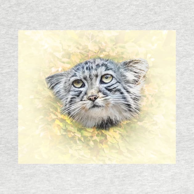 Manul-Pallas's cat by Guardi